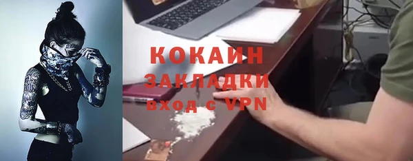 сатива Алзамай