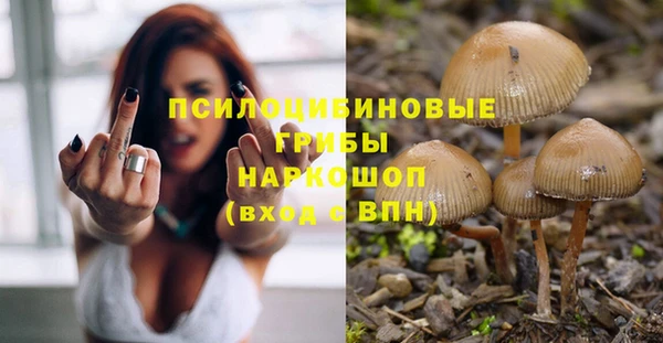 прущий лед Алексеевка