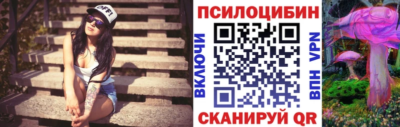 omg ONION  купить наркоту  Чехов  Псилоцибиновые грибы мицелий 